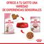 85 g Royal Canin Kitten Sterilised salsa sobre para gatos, , large indicador imagen numero 5